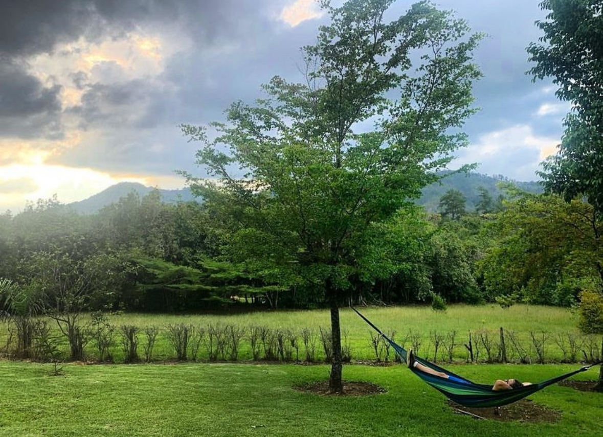 Relax entre pinos y montaña